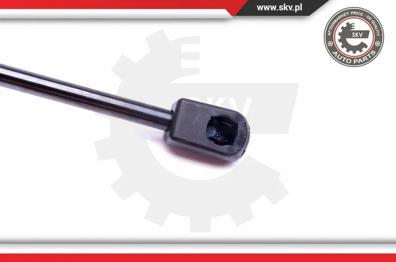 Gas Spring, boot/cargo area