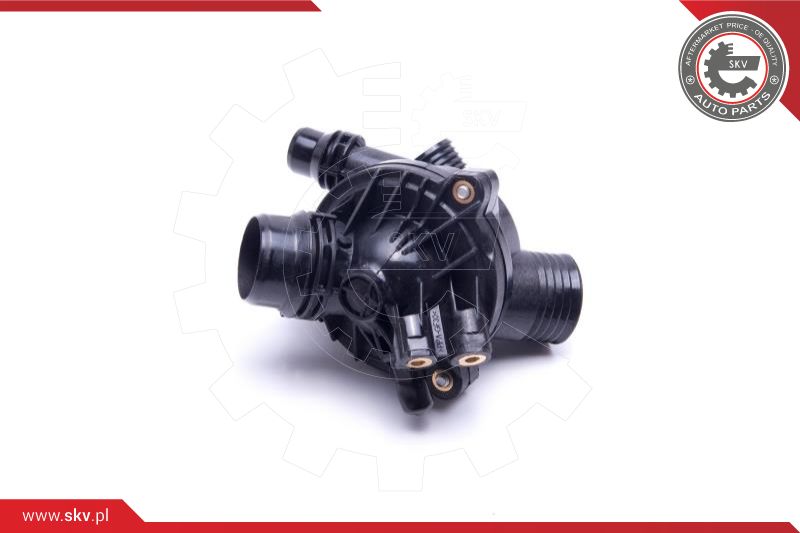 Thermostat, coolant