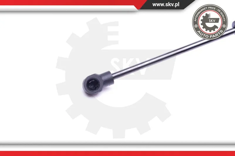 Gas Spring, boot/cargo area