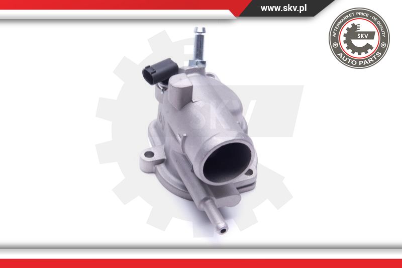 Thermostat, coolant