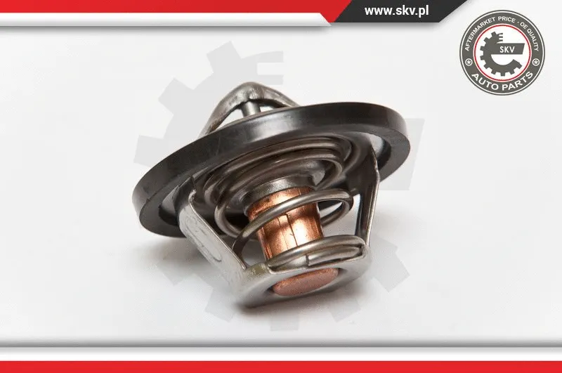 Thermostat, coolant (20SKV015)