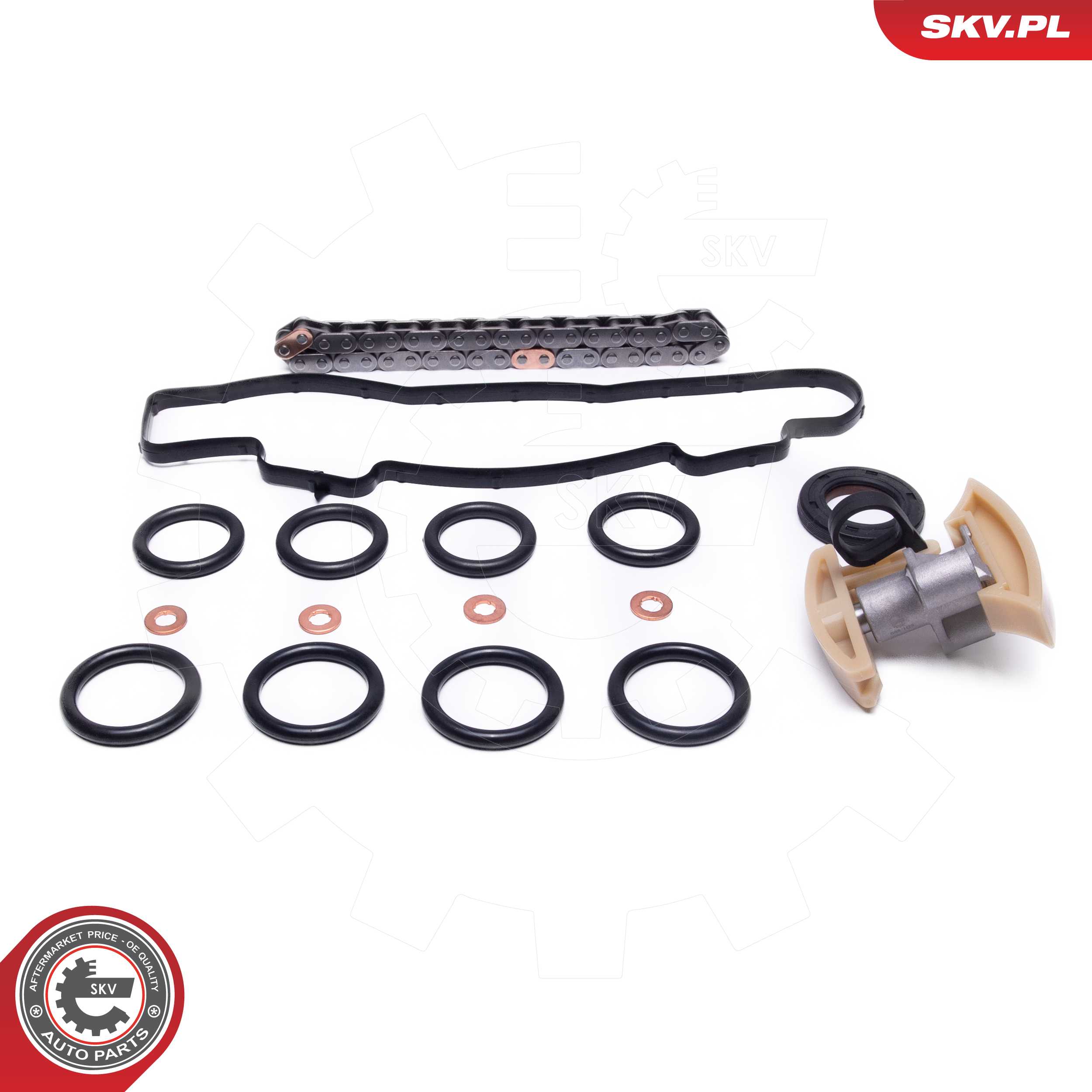 Timing Chain Kit