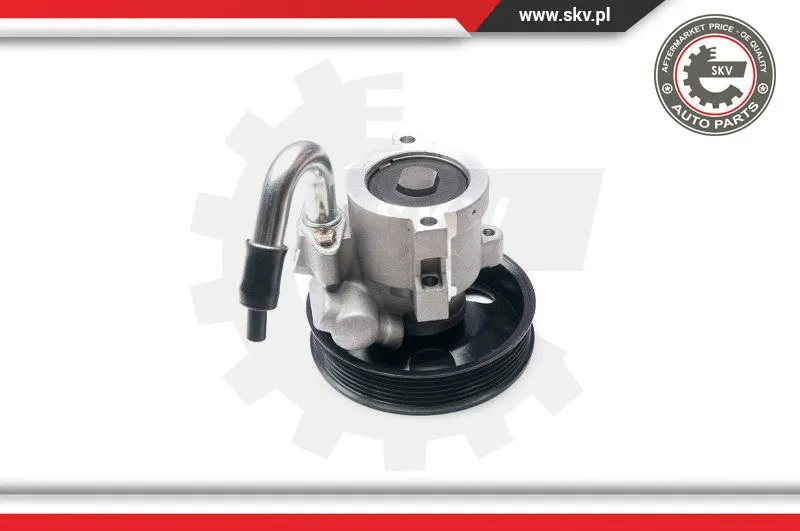 Hydraulic Pump, steering (10SKV206)