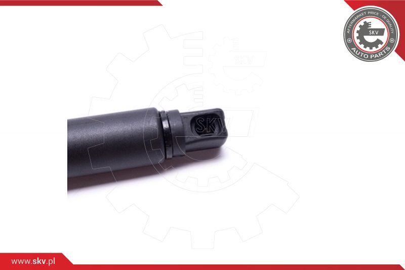 Gas Spring, boot/cargo area