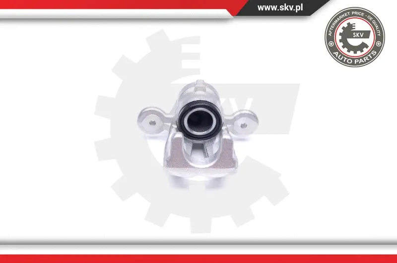 Brake Caliper (42SKV604)