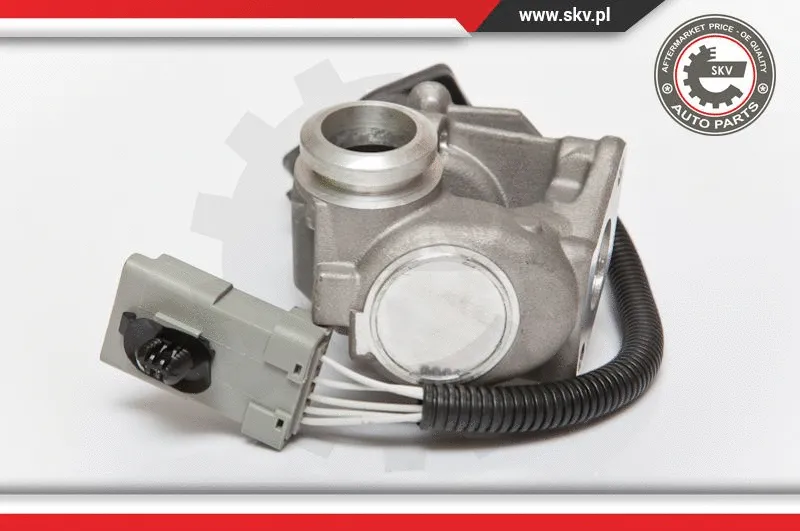 EGR Valve