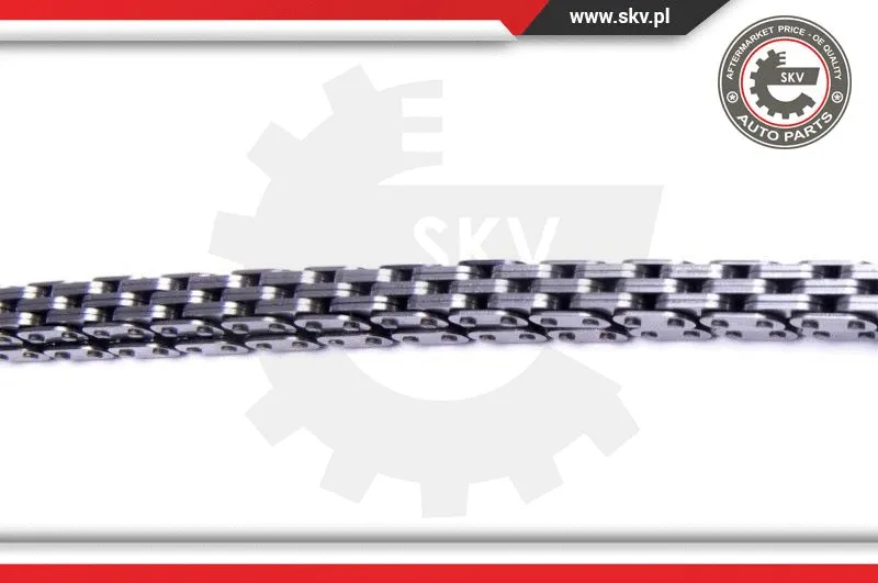 Timing Chain Kit