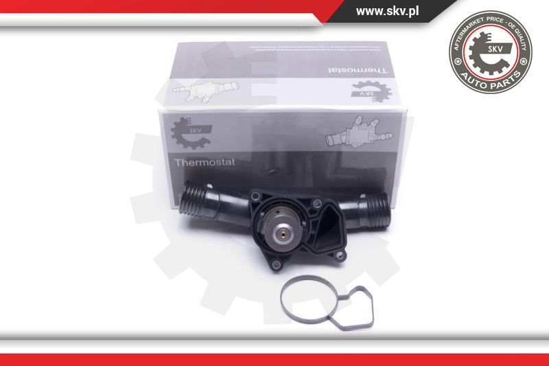 Thermostat, coolant (20SKV163)