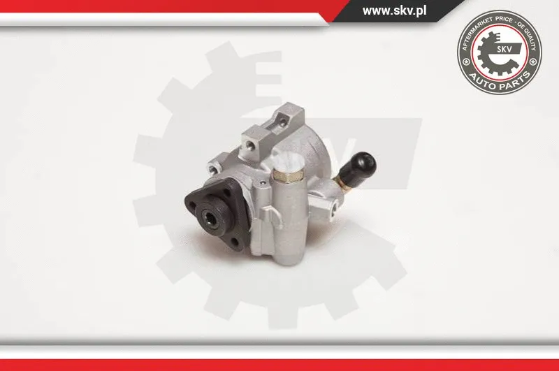 Hydraulic Pump, steering (10SKV055)