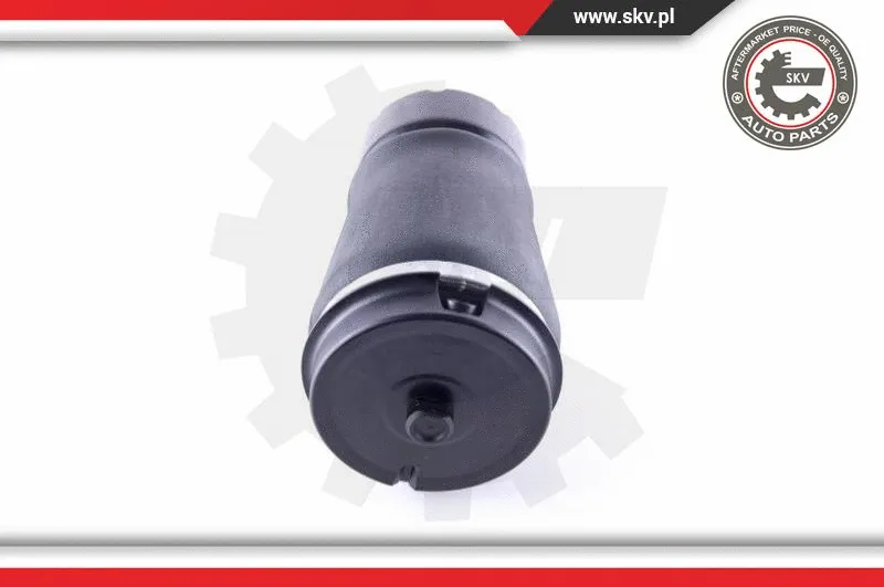 Air Spring, suspension
