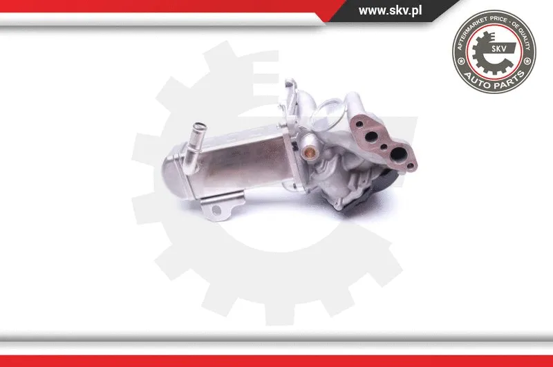 EGR Valve