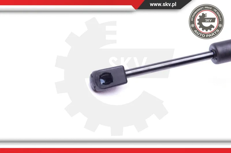 Gas Spring, boot/cargo area