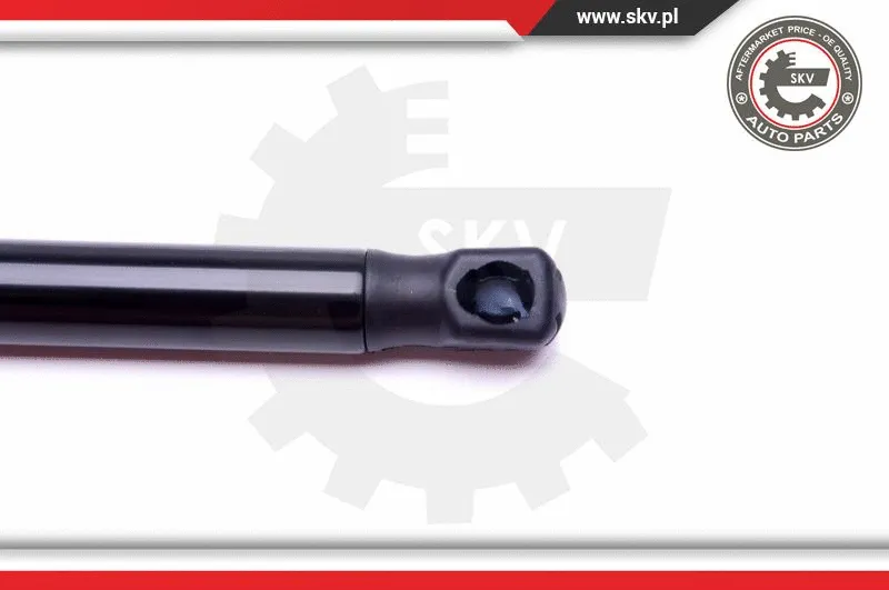 Gas Spring, boot/cargo area