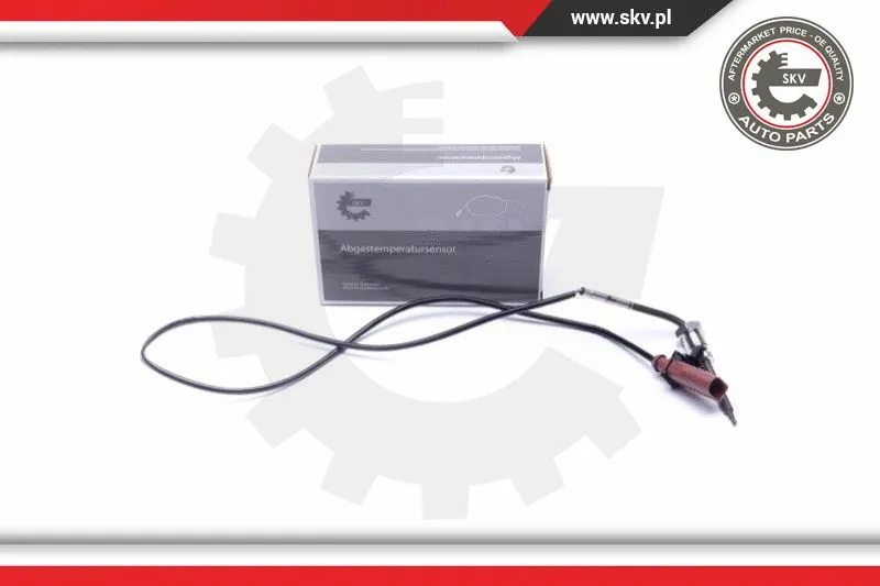 Sensor, exhaust gas temperature (30SKV397)