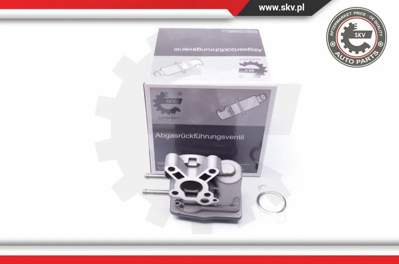 EGR Valve (14SKV103)