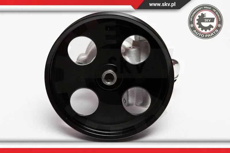 Hydraulic Pump, steering (10SKV002)