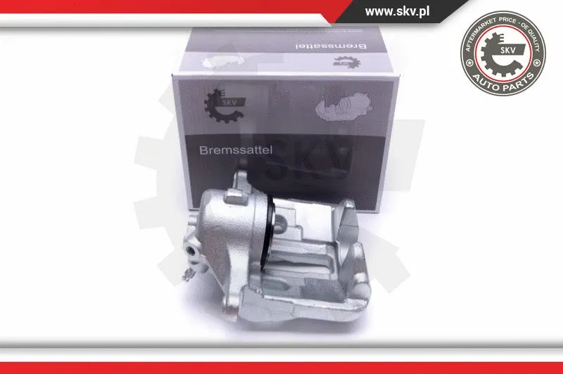 Brake Caliper (55SKV641)