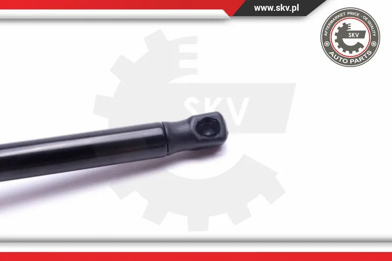 Gas Spring, boot/cargo area