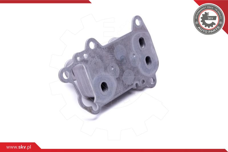 Oil Cooler, engine oil