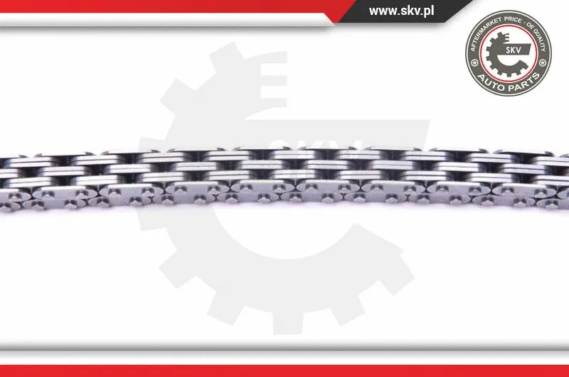 Timing Chain Kit