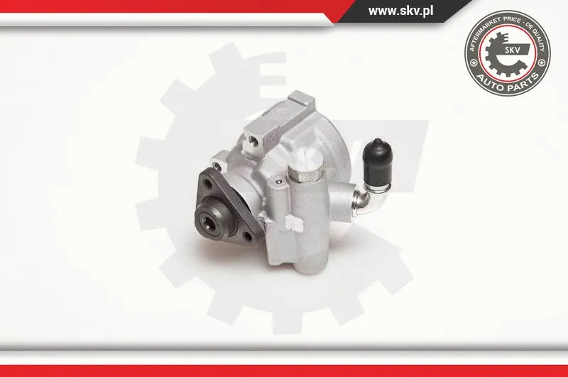 Hydraulic Pump, steering (10SKV003)