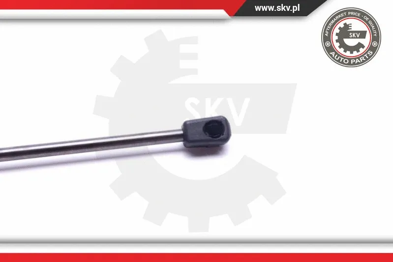 Gas Spring, boot/cargo area