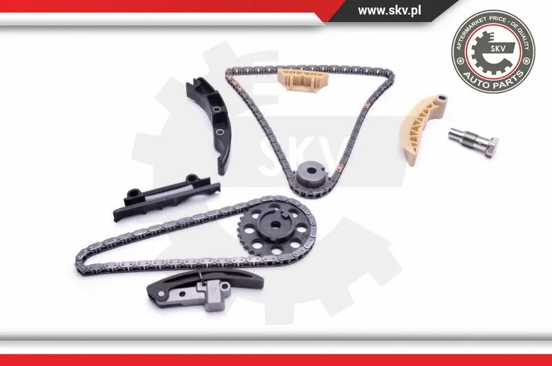 Timing Chain Kit