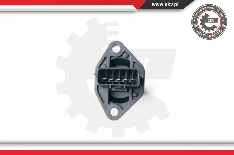 Mass Air Flow Sensor