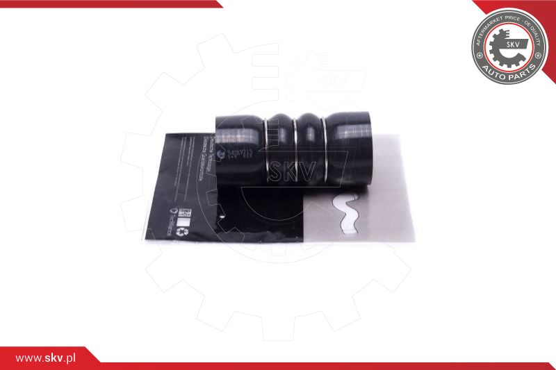 Charge Air Hose (54SKV213)