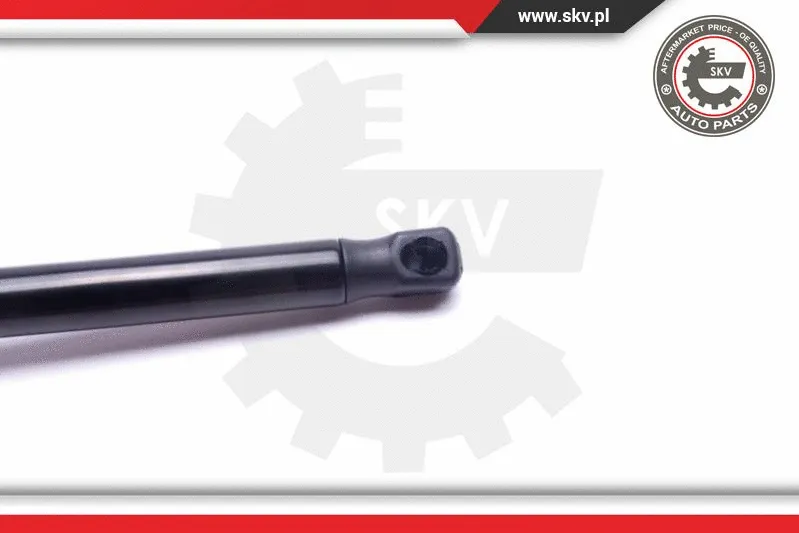 Gas Spring, boot/cargo area