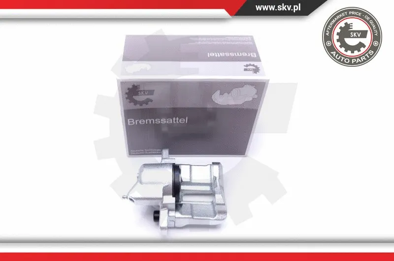 Brake Caliper (42SKV631)