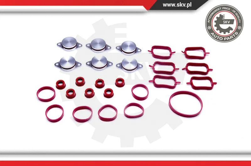 Gasket Set, intake manifold (96SKV045)