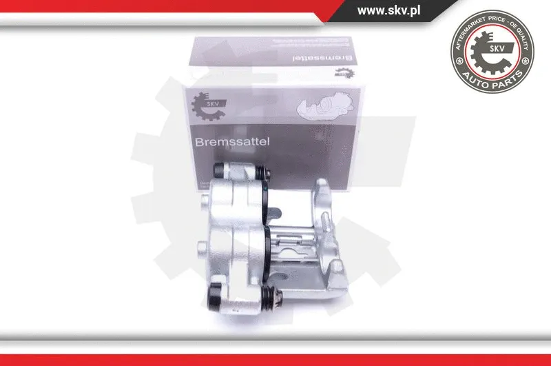 Brake Caliper (44SKV043)
