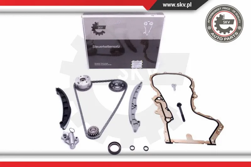 Timing Chain Kit (21SKV234)