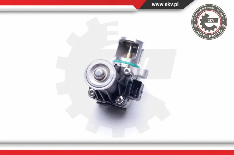 EGR Valve
