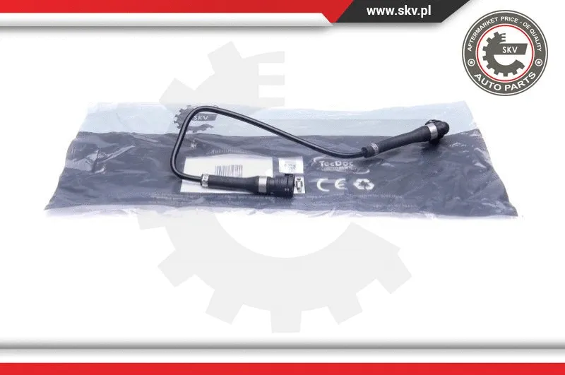 Radiator Hose (24SKV256)