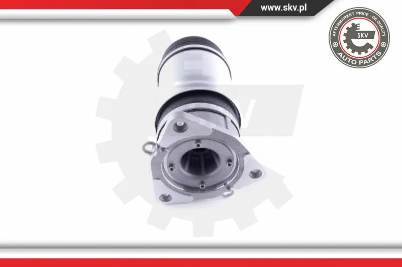 Air Spring, suspension