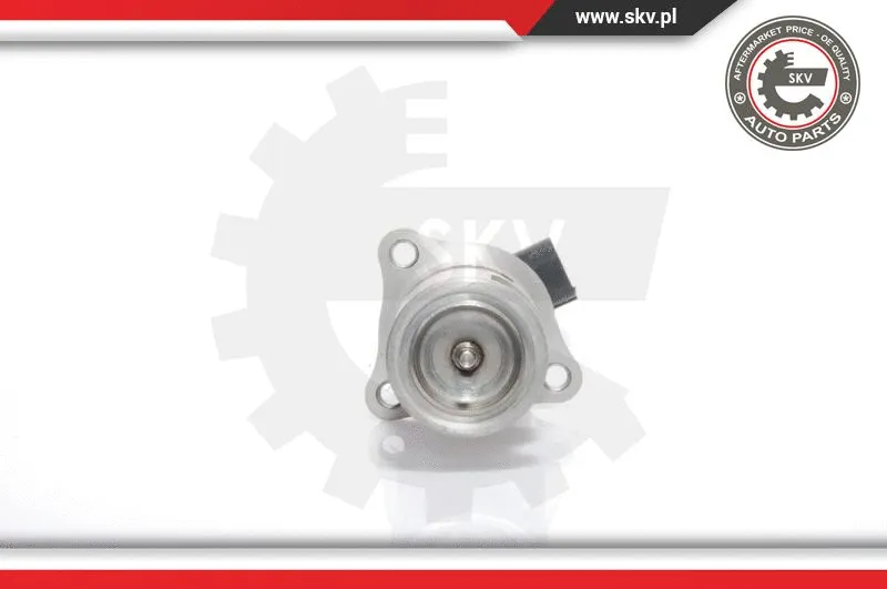EGR Valve (14SKV021)