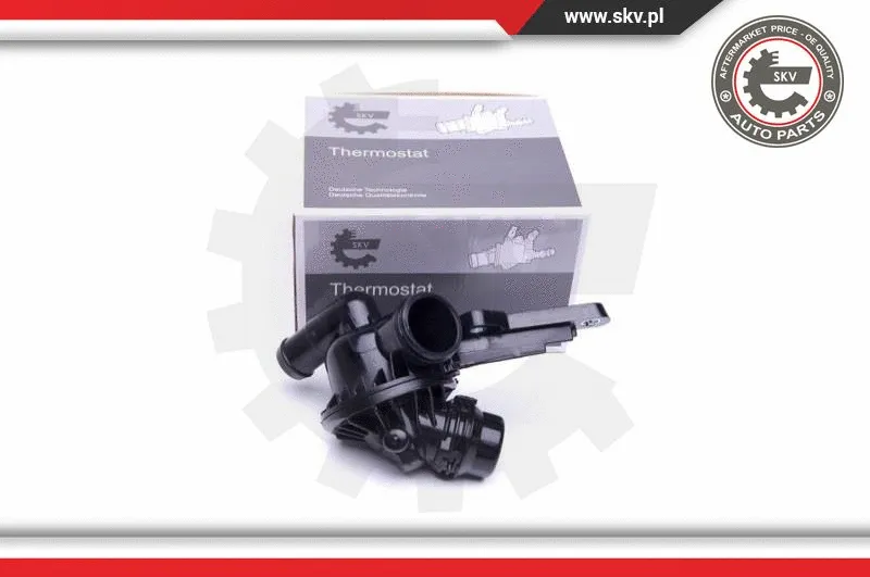 Thermostat, coolant (20SKV098)