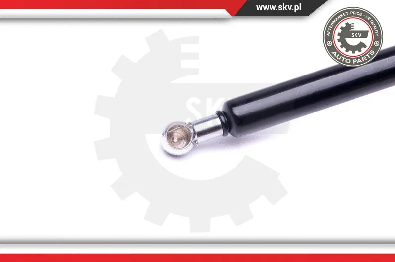 Gas Spring, boot/cargo area