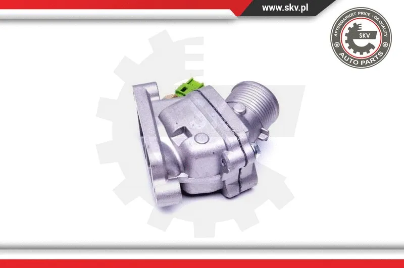 Thermostat, coolant