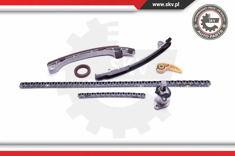 Timing Chain Kit