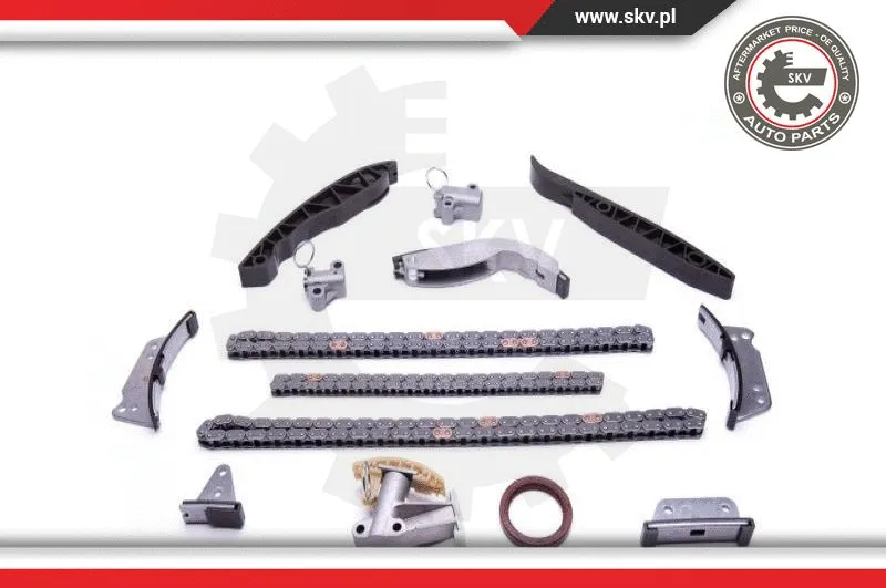 Timing Chain Kit