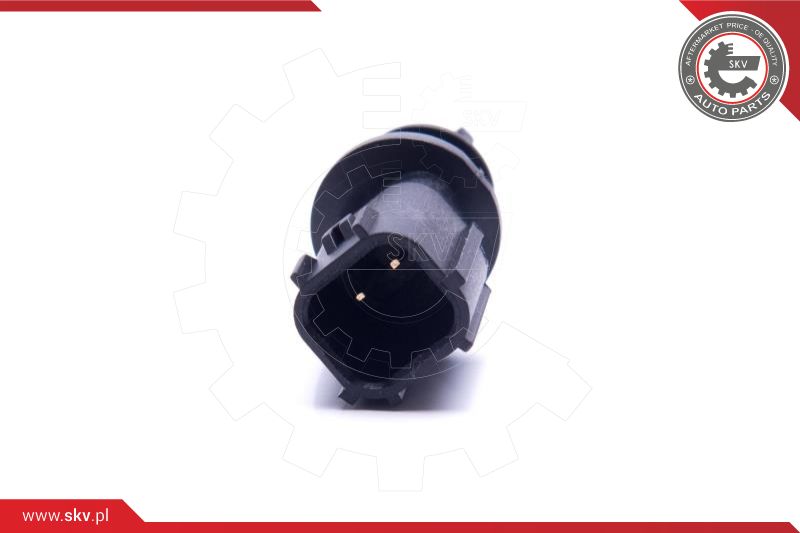 Sensor, intake air temperature