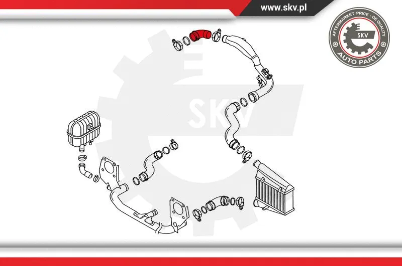 Charge Air Hose