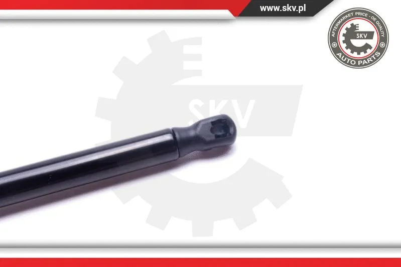 Gas Spring, boot/cargo area