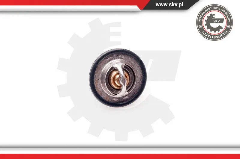 Thermostat, coolant
