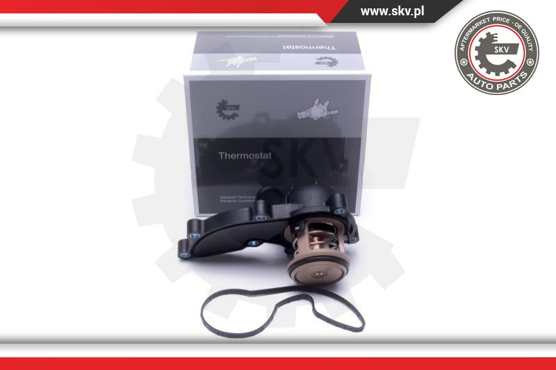 Thermostat, coolant (20SKV178)