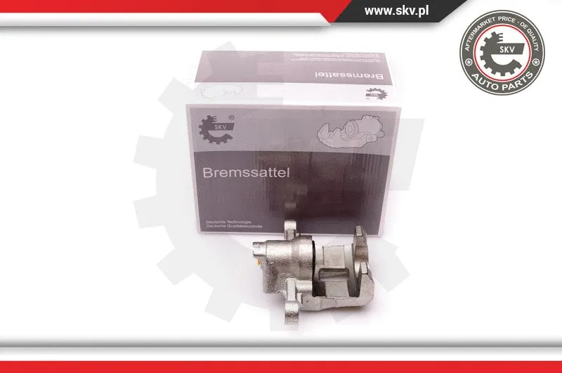 Brake Caliper (34SKV333)