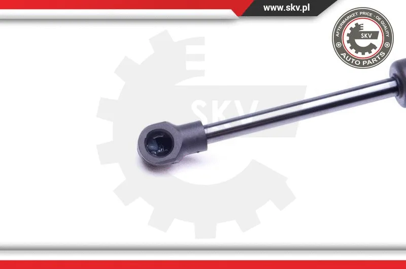 Gas Spring, boot/cargo area